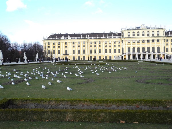 Парк вокруг дворца Шенбрунн
